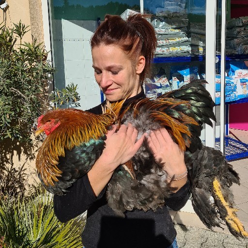 Samantha Stagiaire